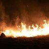 На Закарпатті сталося 103 пожежі сухотрав’я (Фото)