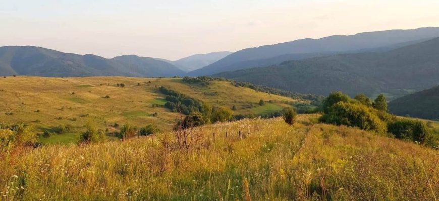 Чопські прикордонники показали красу Закарпаття, яку бачать під час служби