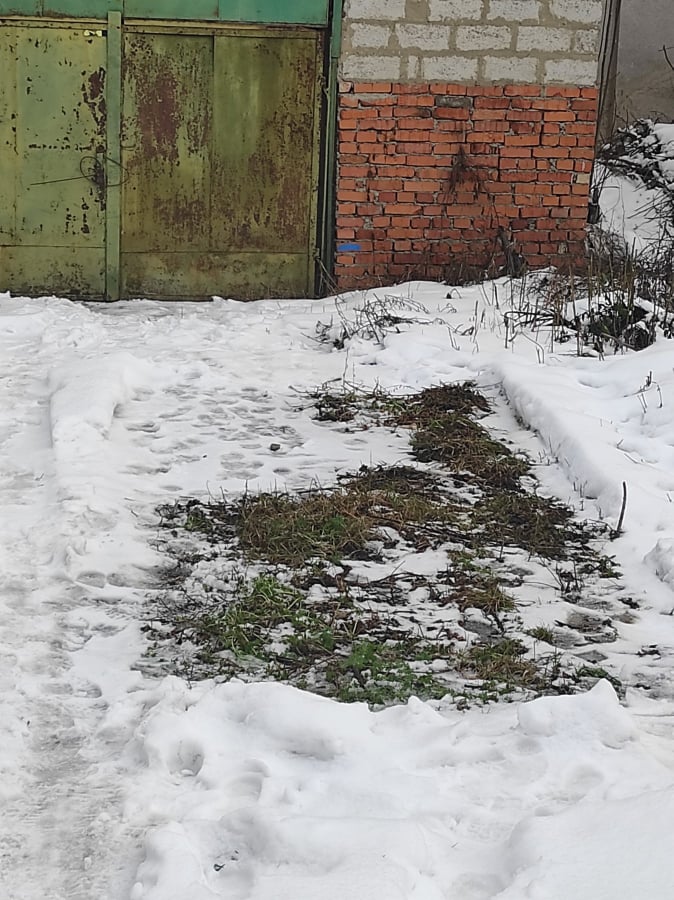 Ужгородські поліцейські впіймали злодія, який вчинив погром в ...
