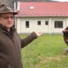 Скульптурний парк та арт-резиденція: новий мистецький простір на Мукачівщині (Відео)