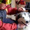 Закарпаття: гірські рятувальники мають чотирилапу помічницю Лолу (Відео)